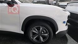 جيتور داشينج